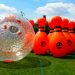 What Are The Most Popular Kinds Of Zorbing Activities?