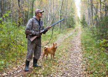 7 Essential Pieces of Hog Hunting Gear for Beginners