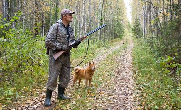 7 Essential Pieces of Hog Hunting Gear for Beginners