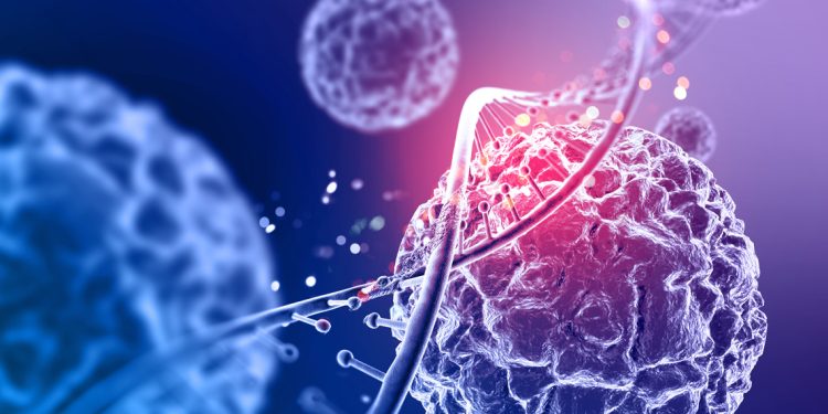 The Science of Aging: Understanding the Biological Process