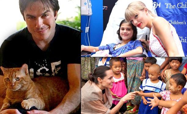 Behind the Scenes of Celebrity Charity Work