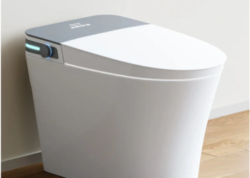 Toilet with Bidet vs. Separate Bidet: Which is Right for You?