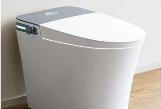 Toilet with Bidet vs. Separate Bidet: Which is Right for You?