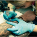 First Tattoo: A Tips and Tricks