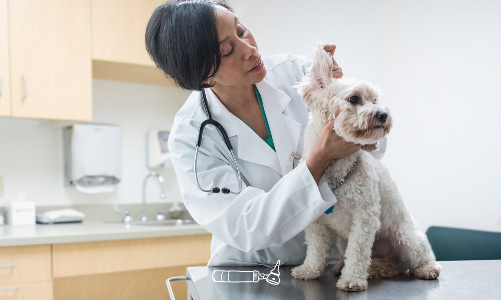 What To Expect During Your Pet’s First Vet Visit